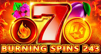 Burning Spins 243 game tile